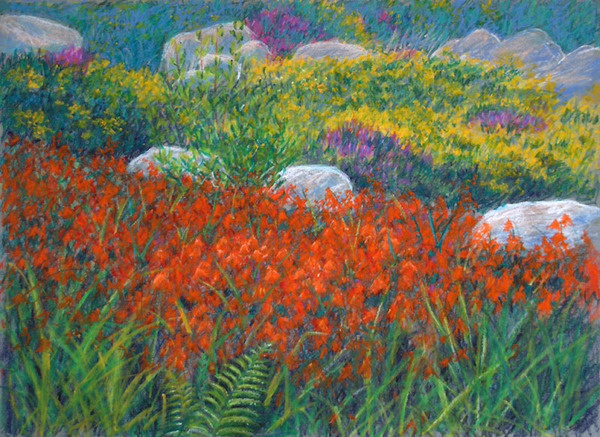 Irish Wildflowers Painting:: Oil Pastel