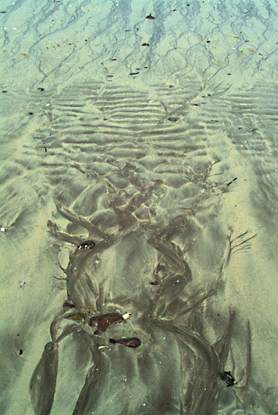 Sand Painting 11 Photo