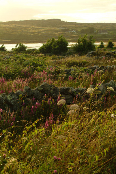 Connemara Landscape 5 Photo