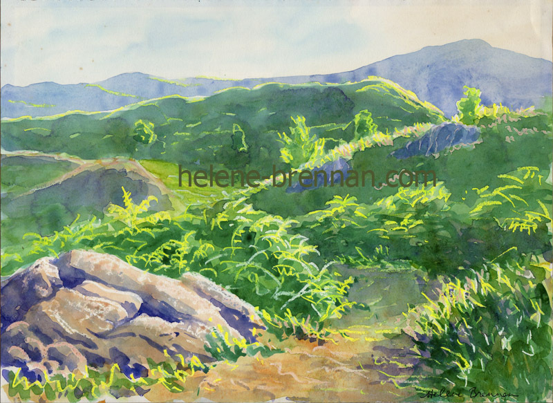 Cumbrian Landscape Watercolour