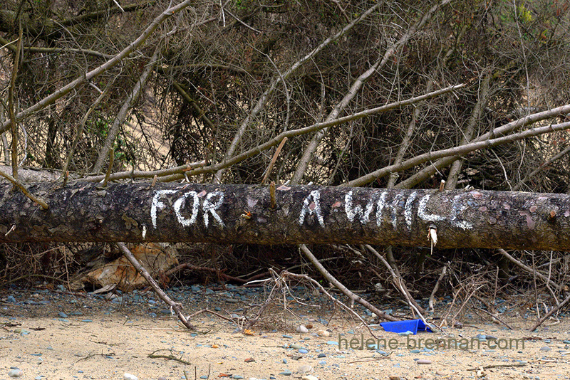 'For a While' - Courtown Beach 5779 Photo