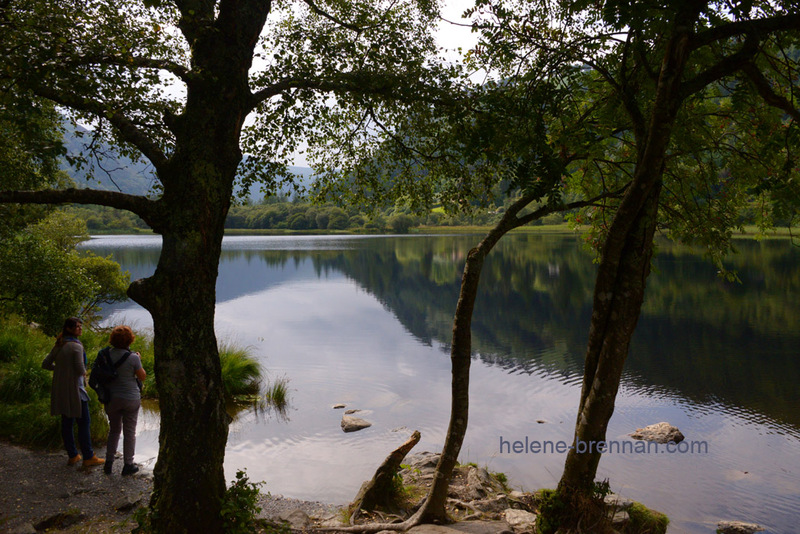 Upper Lake Glendalough 6341 Photo