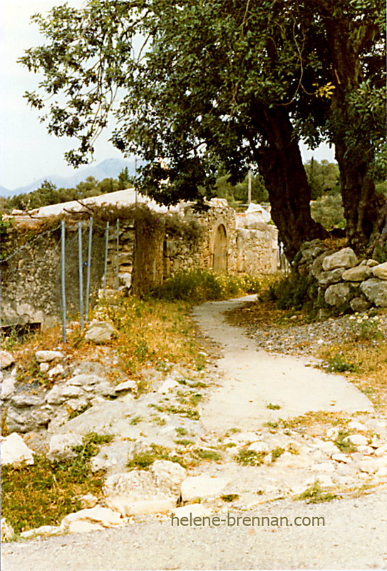 Country Lane, Crete Photo