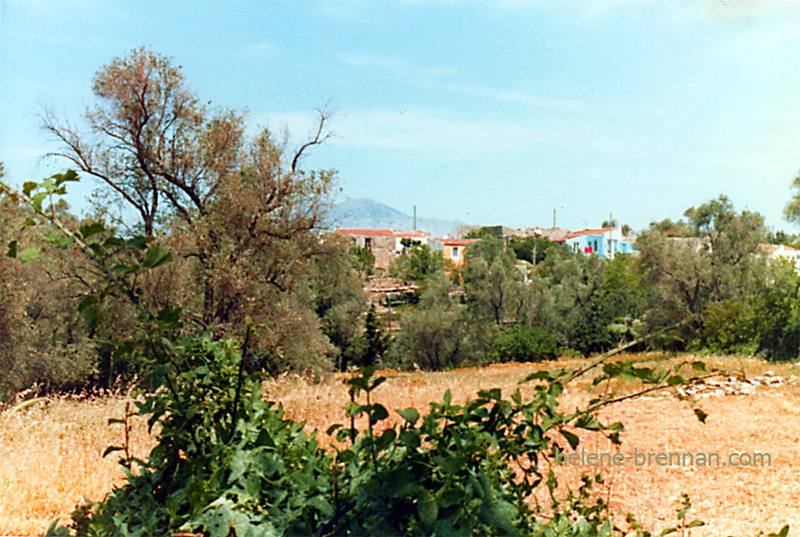 Rural Landscape, Crete Scanned photo print