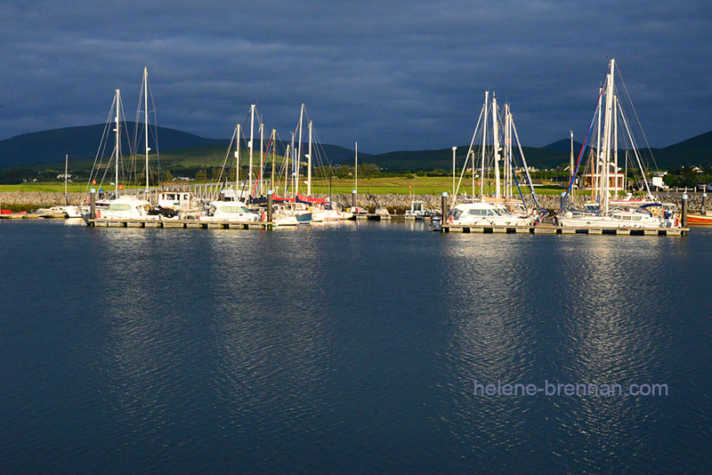 Boats in The Morning Sun on Dingle Marina 2708 Photo