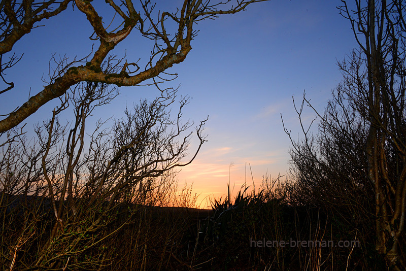 Emlagh Sunset 2548 Photo