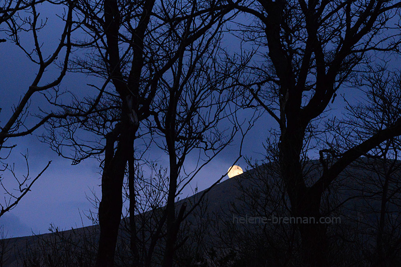 Pinkish Moon 2567 Photo