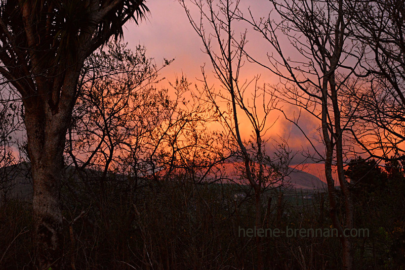 West Kerry Evening 2653 Photo