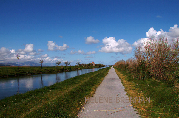 Tralee Canal 03 Photo