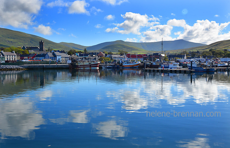 Dingle Harbour 4554 Photo