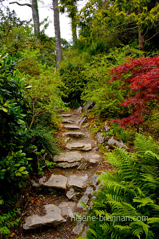 Muckross Gardens 4789 Photo