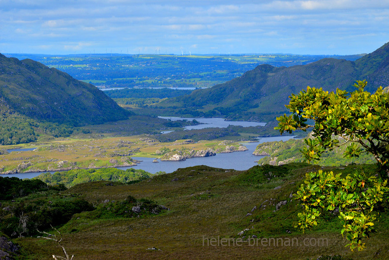 Killarney Lakes 4932 Photo