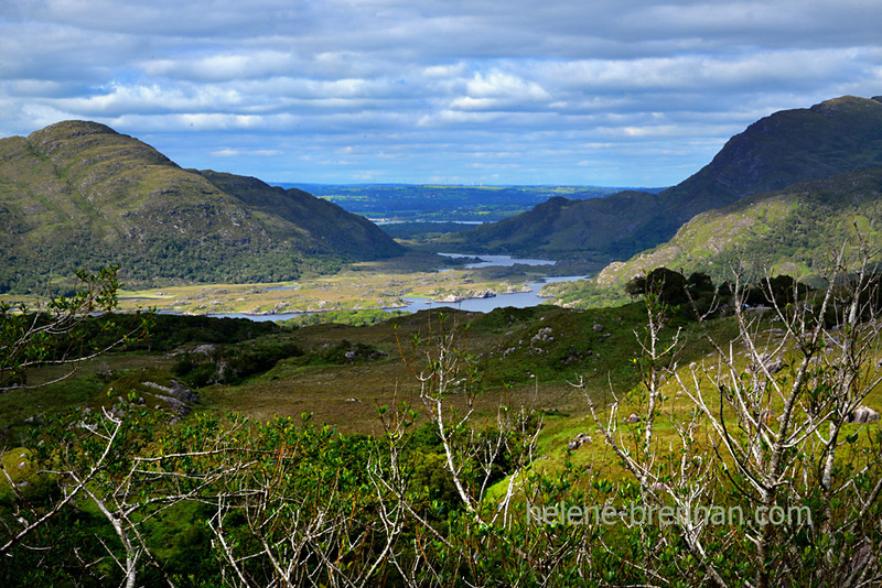 Killarney Lakes 4935 Photo