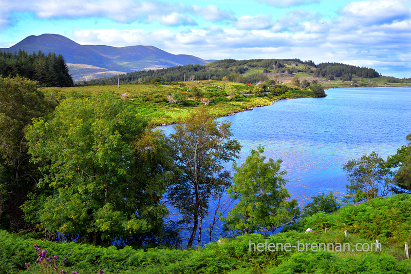 Killarney Lakes 4968 Photo