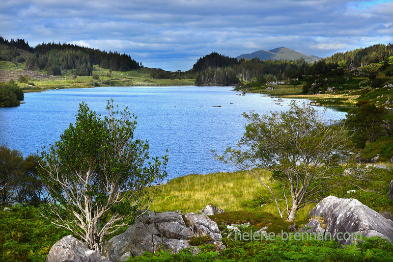 Killarney Lakes 4960 Photo