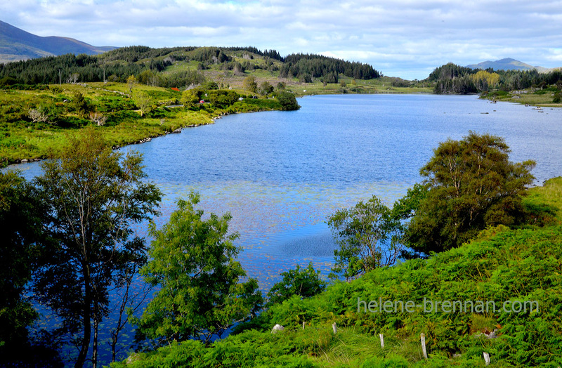 Killarney Lakes 4967 Photo
