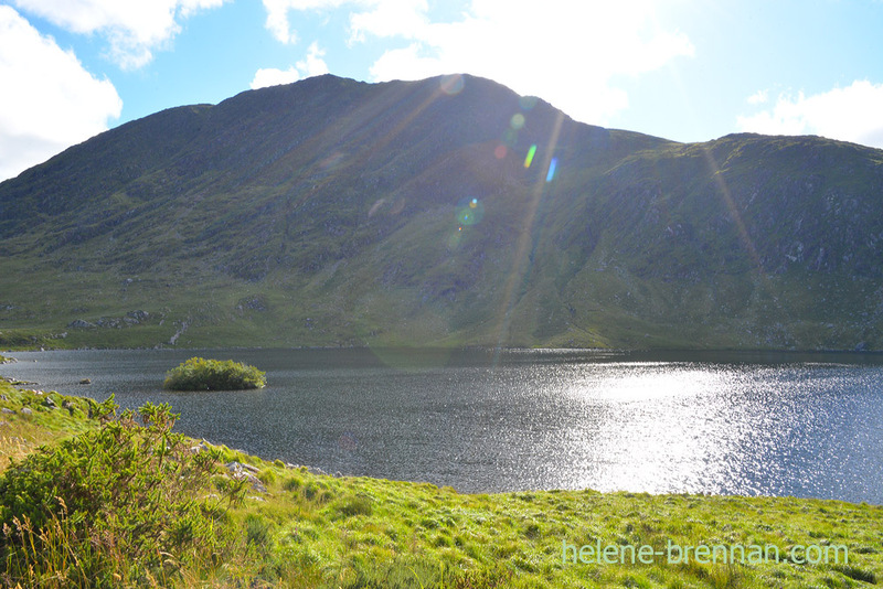 Killarney National Park 4996 Photo