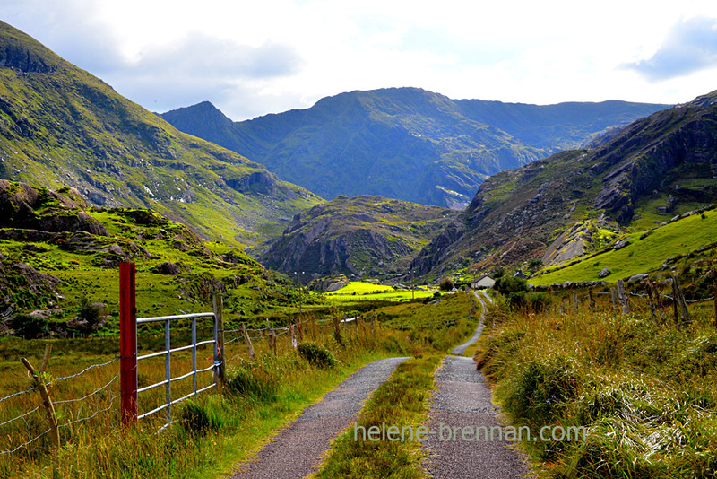 Beara Landscape 5837 Photo