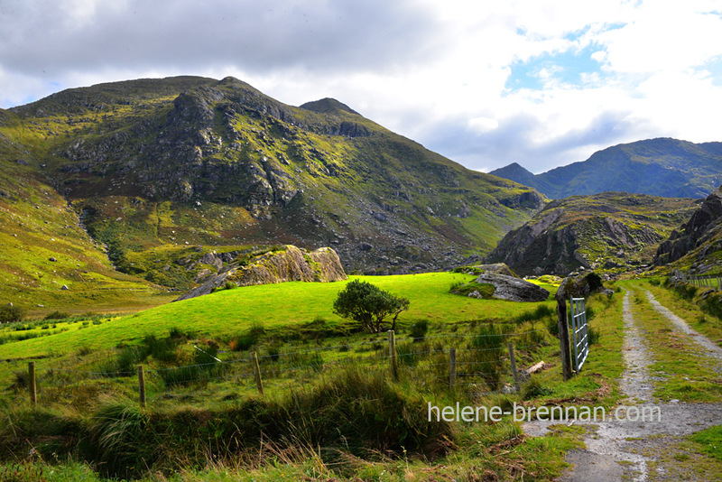 Beara Landscape 5852 Photo