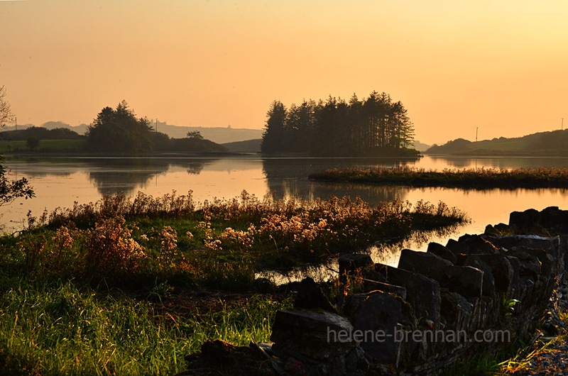 Evening on River Ilen 6593 Photo