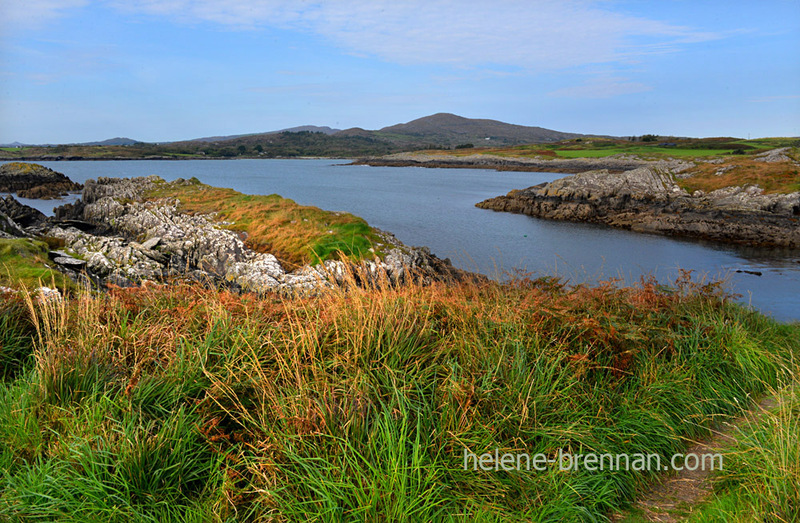 Mizen Peninsula 6037 Photo