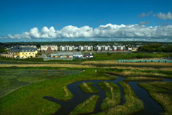 View from the tower. Photo