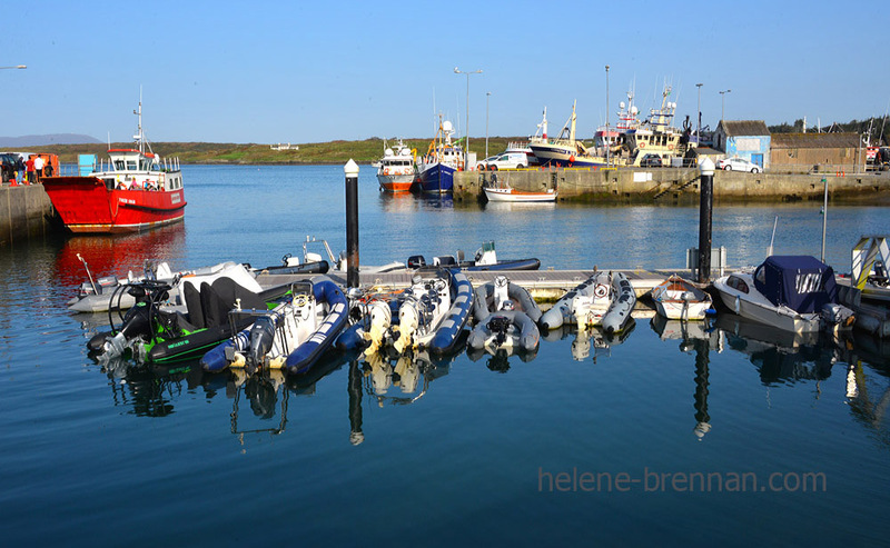 Baltimore Harbour 6231 Photo