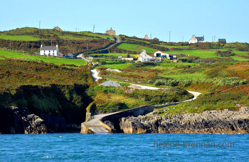 Cape Clear Island 6266 Photo