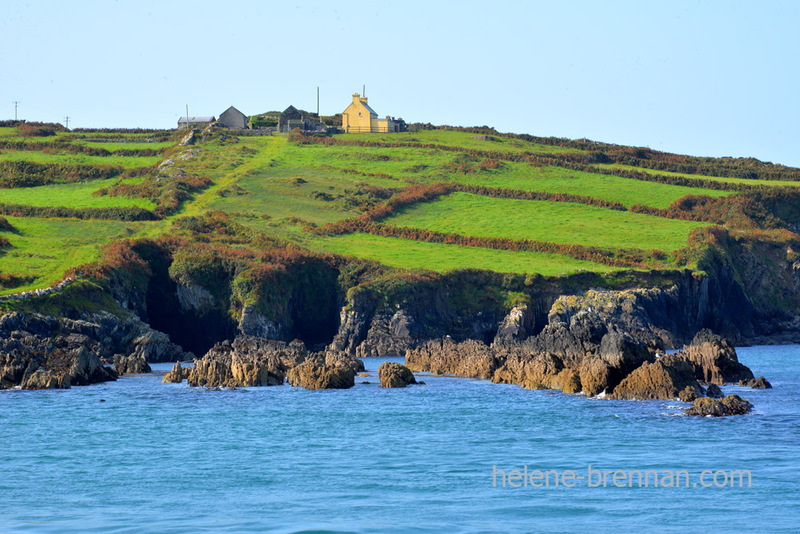 Cape Clear Island 6274 Photo