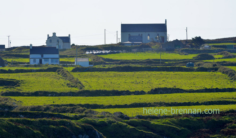 Cape Clear Island 6291 Photo