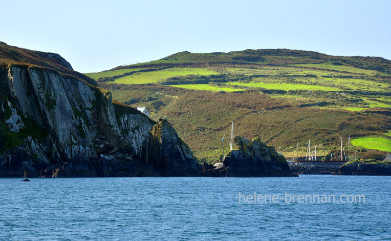 Cape Clear Island 6299 Photo