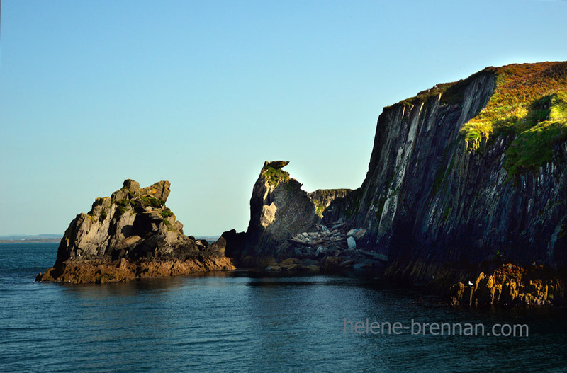 Cape Clear Island 6305 Photo