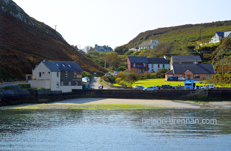 Cape Clear Island 6310 Photo