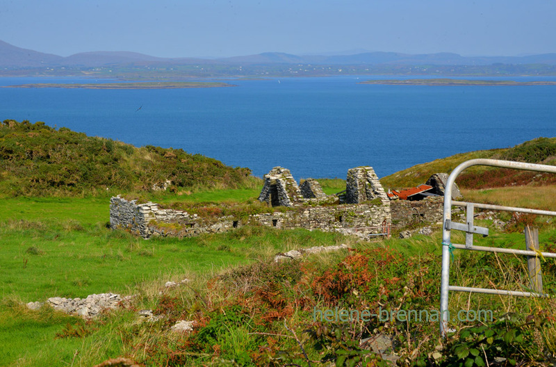 Cape Clear Island 6343 Photo