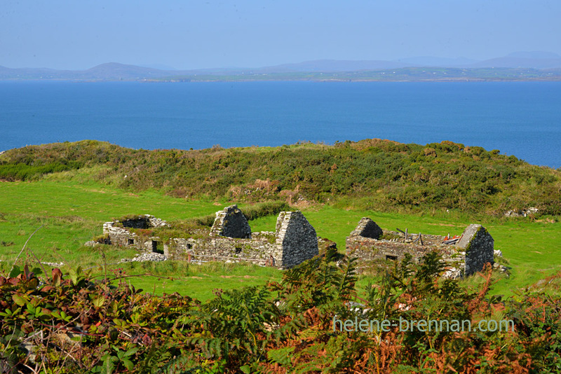 Cape Clear Island 6347 Photo