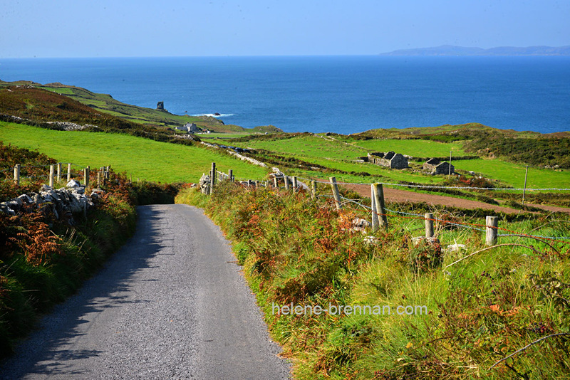 Cape Clear Island 6351 Photo