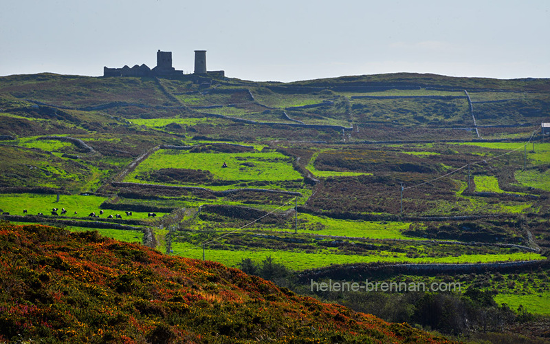 Cape Clear Island 6358 Photo