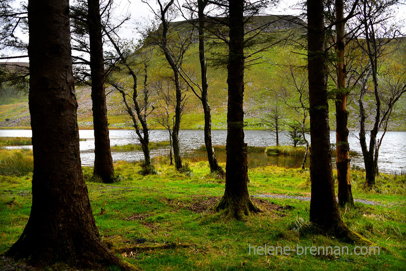 Lough Slat 6640 Photo