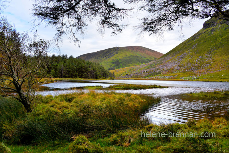 Lough Slat 6641 Photo