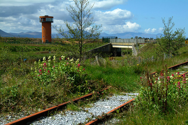 View from outside the Wetlands Centre Photo