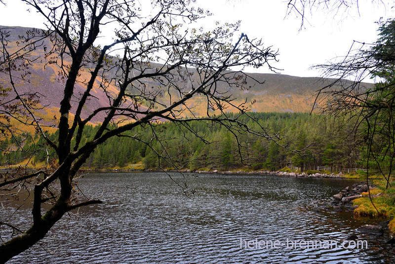 Lough Caum  6729 Photo