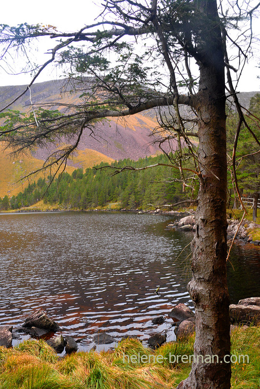 Lough Caum  6730 Photo