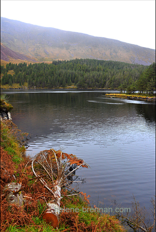 Lough Caum  6735 Photo