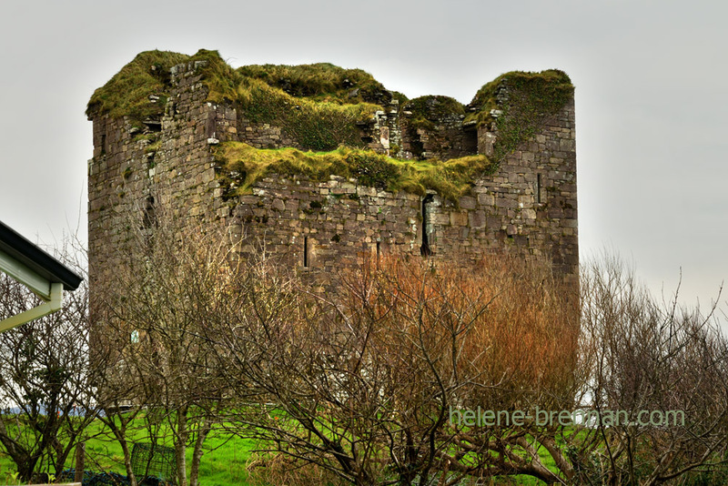 Minard Castle 0267 Photo