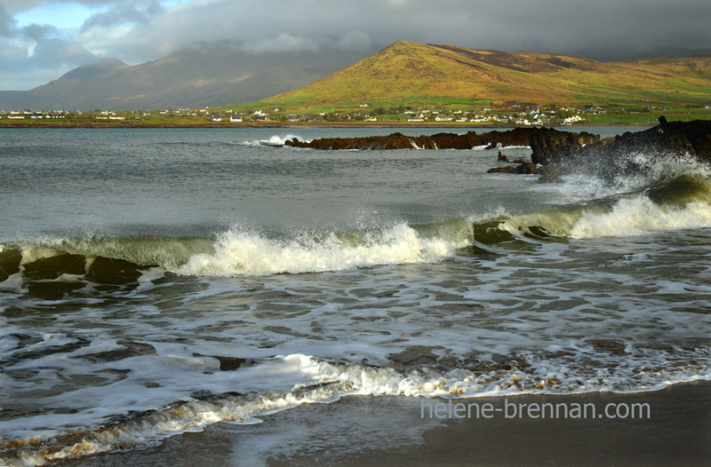 Wine Strand 0559 Photo