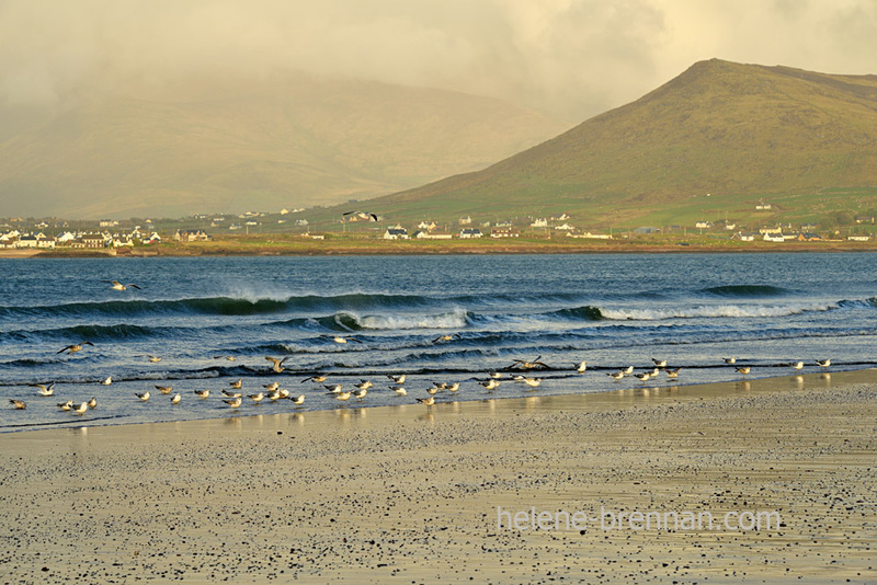 Béal Bán Beach 0678 Photo