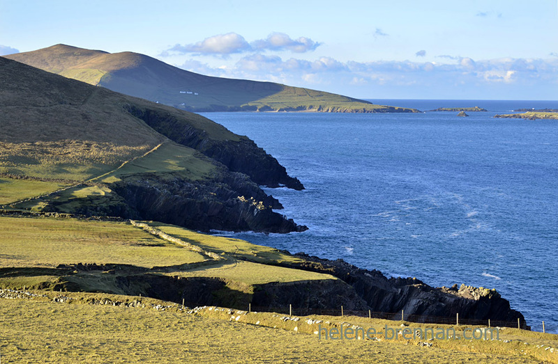 Dunquin 7879 Photo