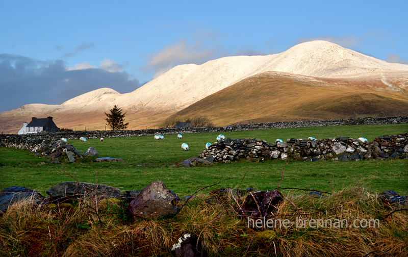 Mount Brandon with Snow 8067 Photo