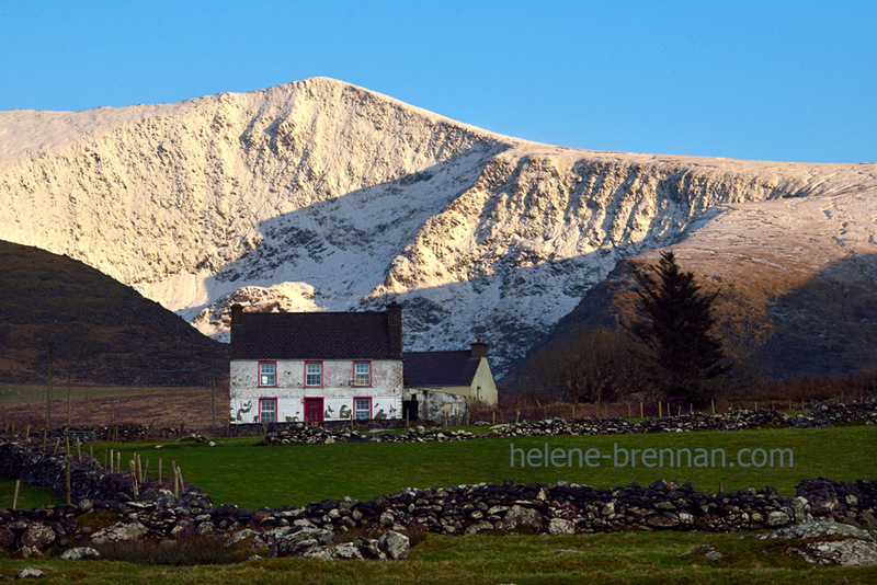 Mount Brandon with Snow 8079 Photo