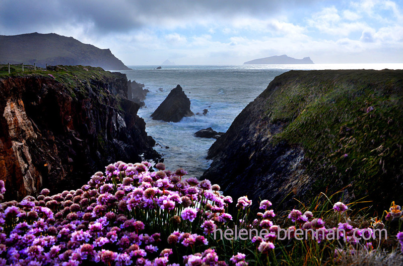 Clogher 3704 Photo